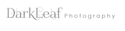 Dark Leaf Photography